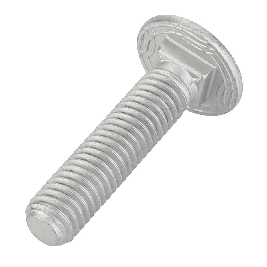 Round Head Square Neck Carriage Bolt