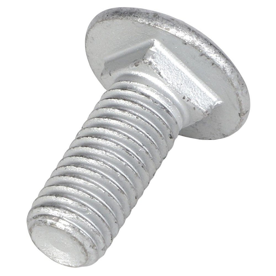 Round Head Square Neck Carriage Bolt