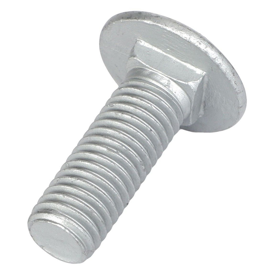 Round Head Square Neck Carriage Bolt