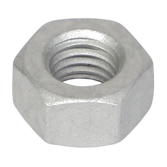 Hex Nut