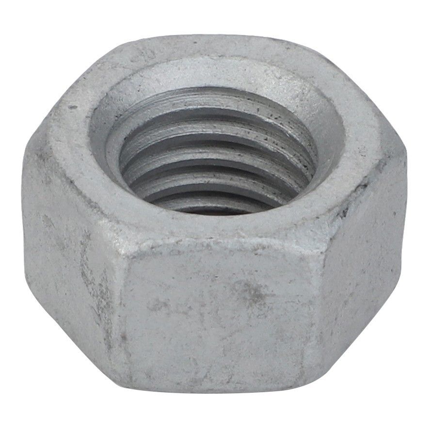 Hex Nut