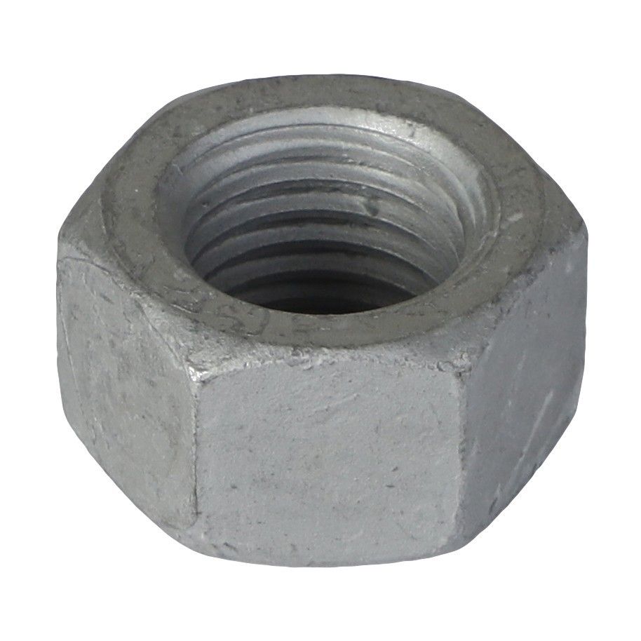 Hex Nut