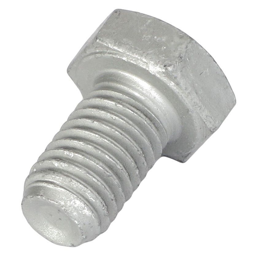 Hexagonal Bolt