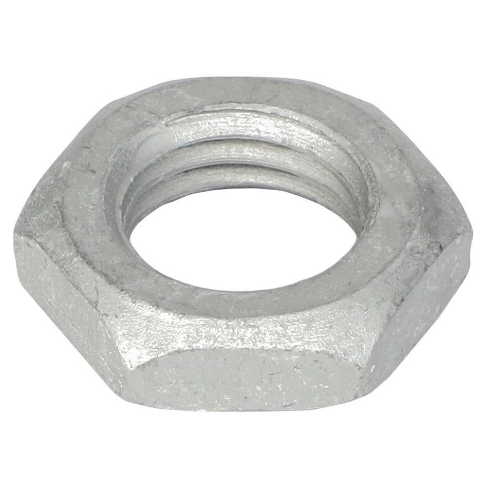 Hex Nut