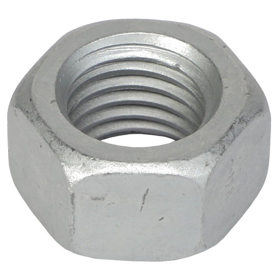Hex Nut