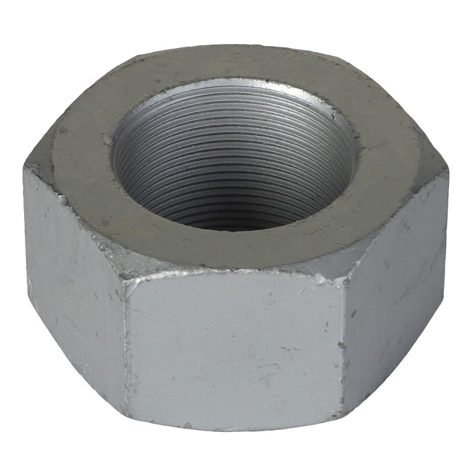 Hex Nut