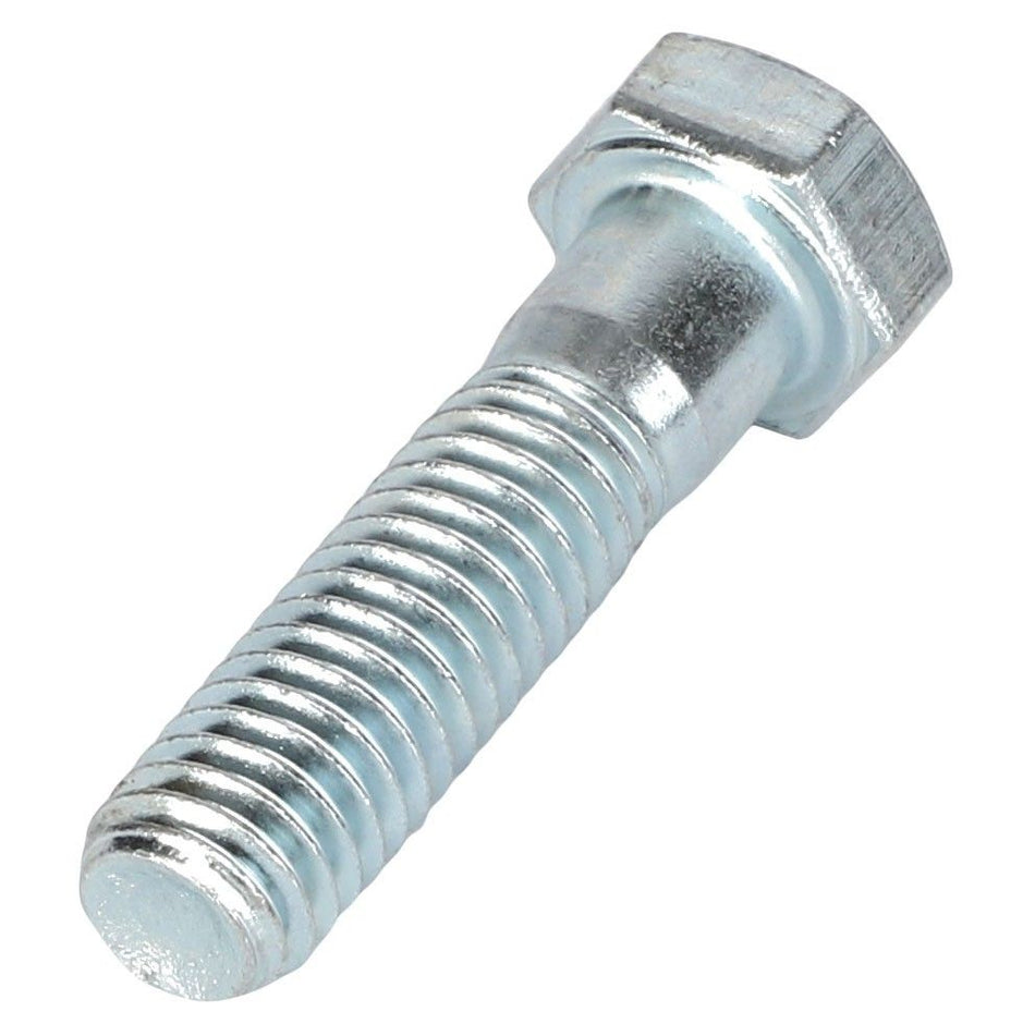 Hexagonal Head Bolt