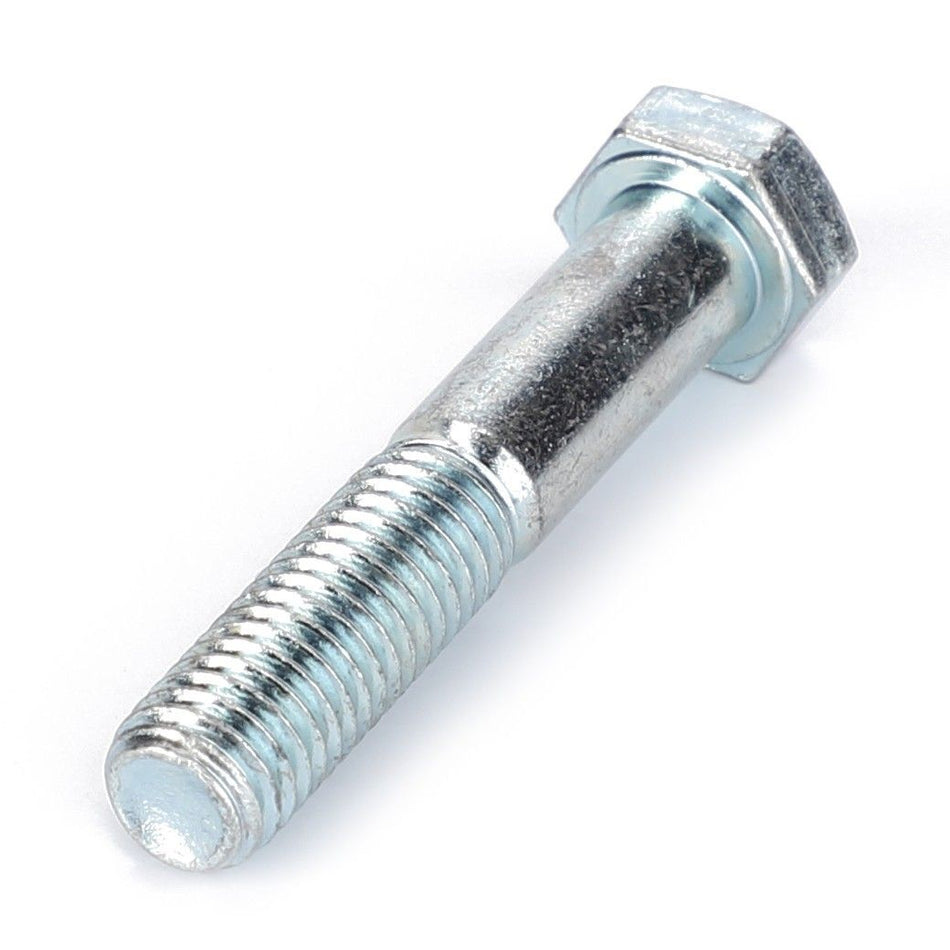 Hex Head Bolt