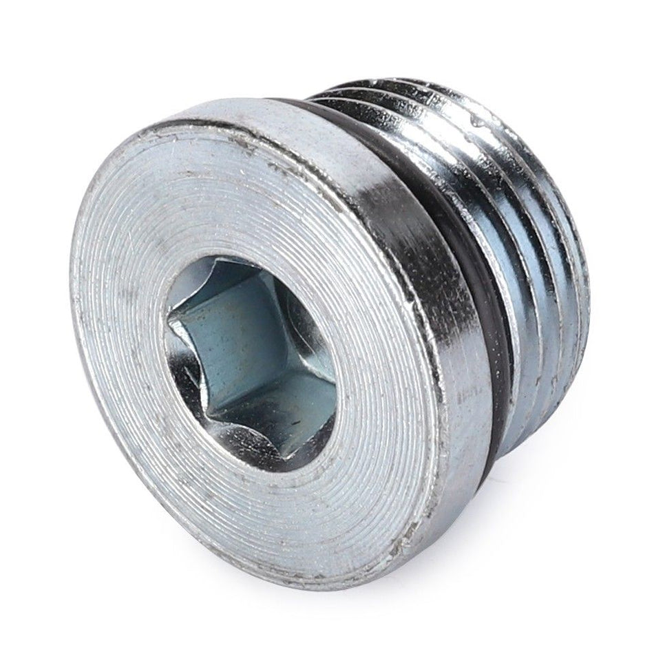 Hex Socket Head Plug