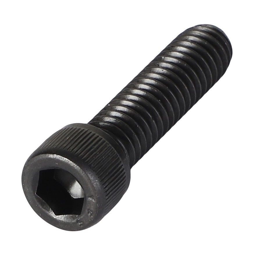 Hexagonal Socket Head Bolt 5/16"-18X31.7