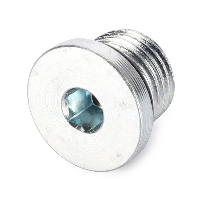 Hollow Hex Head Plug