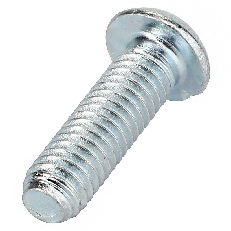 Round Head Screw