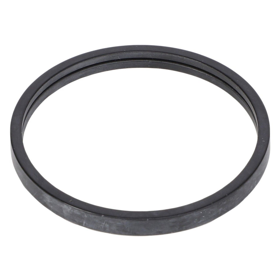 Thermostat Seal