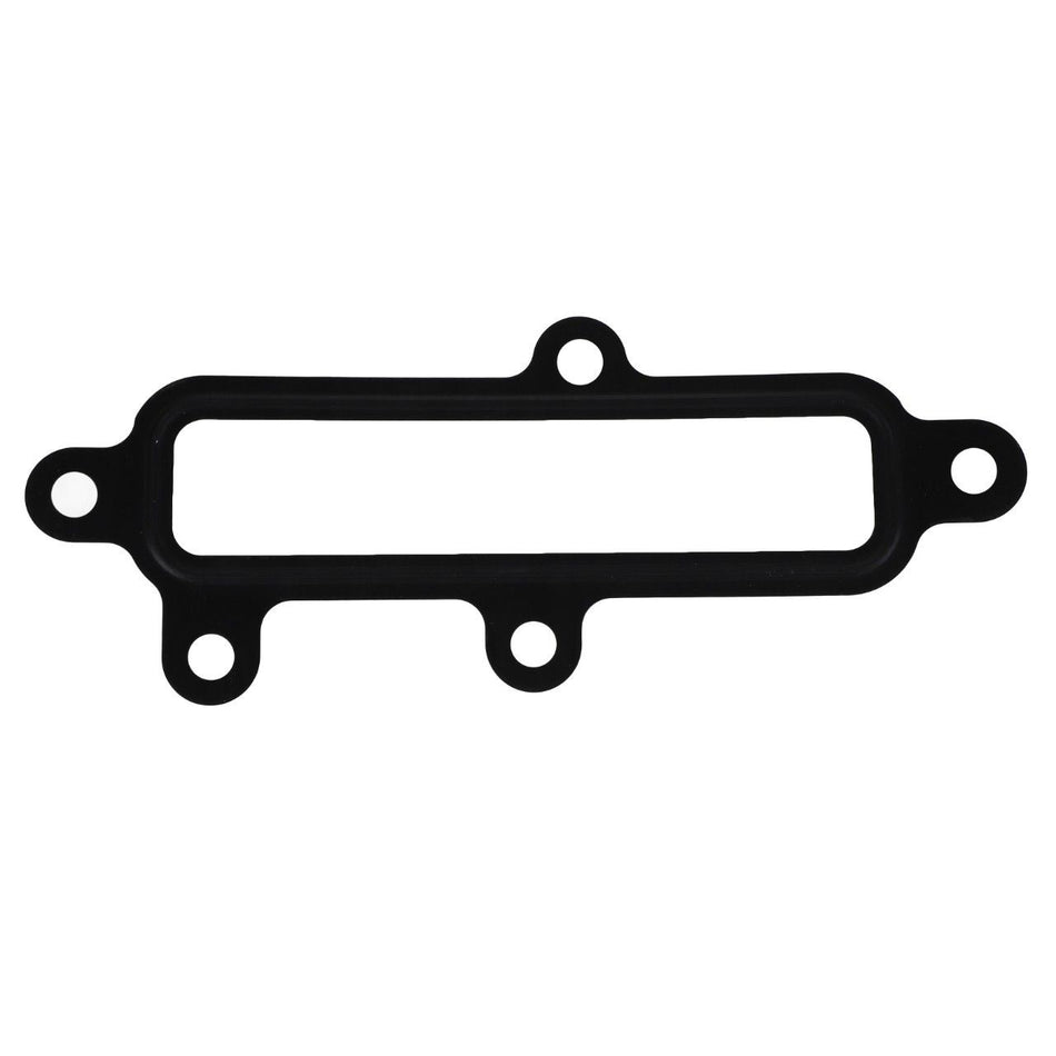 Coolant System Gasket