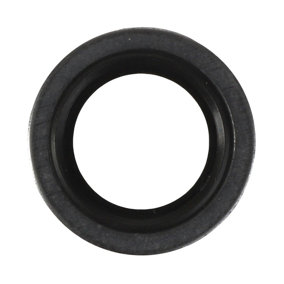 Sealing Washer