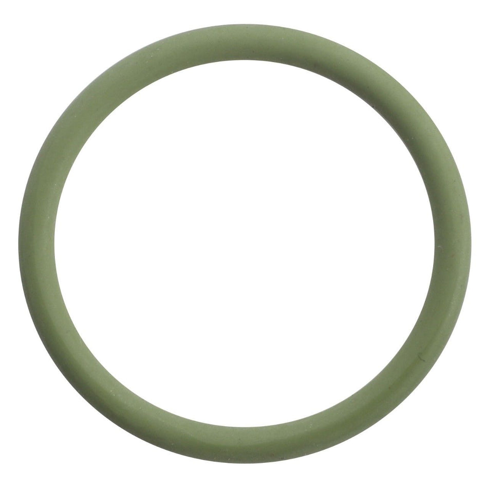 O-Ring Seal