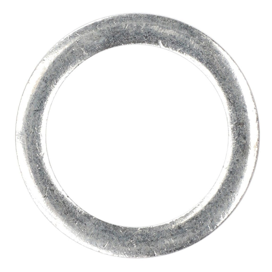 Sealing Washer