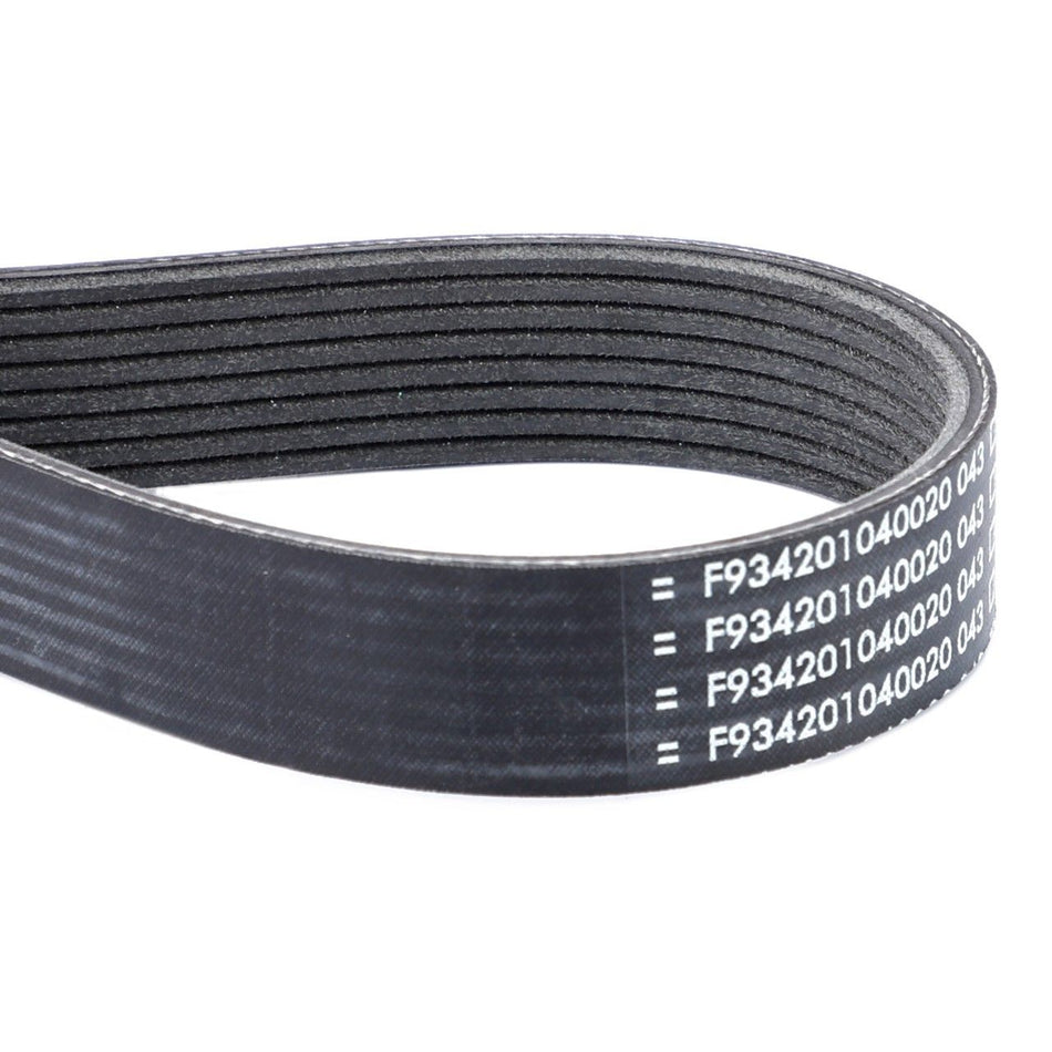 V Belt-Multi Ribbed 1445mm