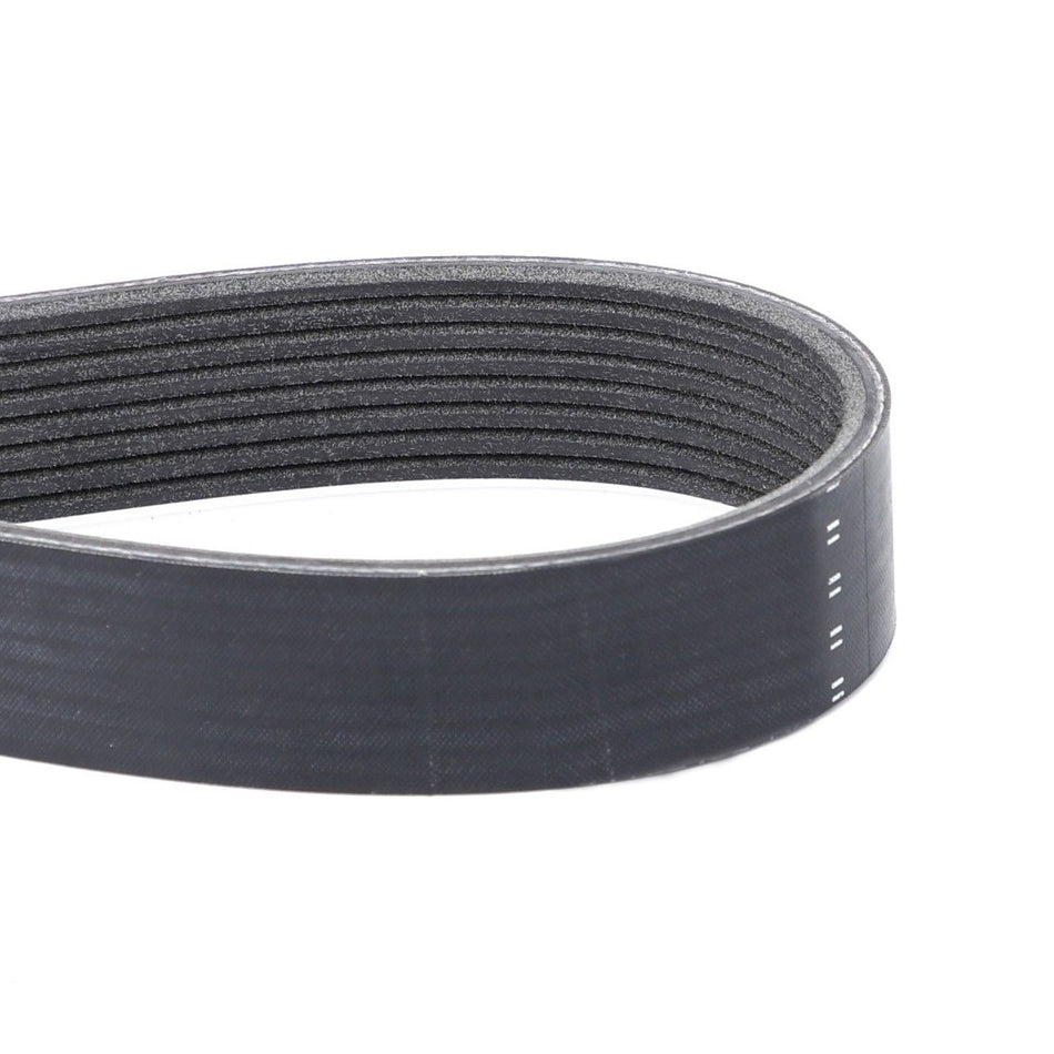 Serpentine Belt, PK8 Profile