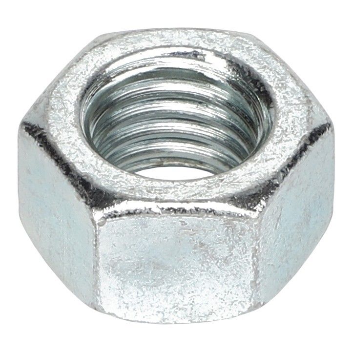 Hex Nut