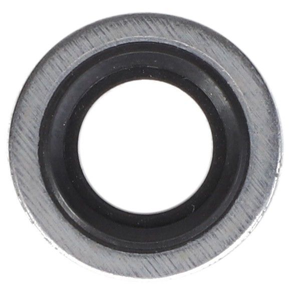 Sealing Washer