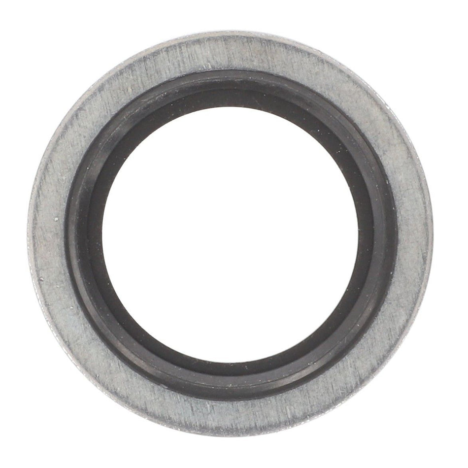 Sealing Washer