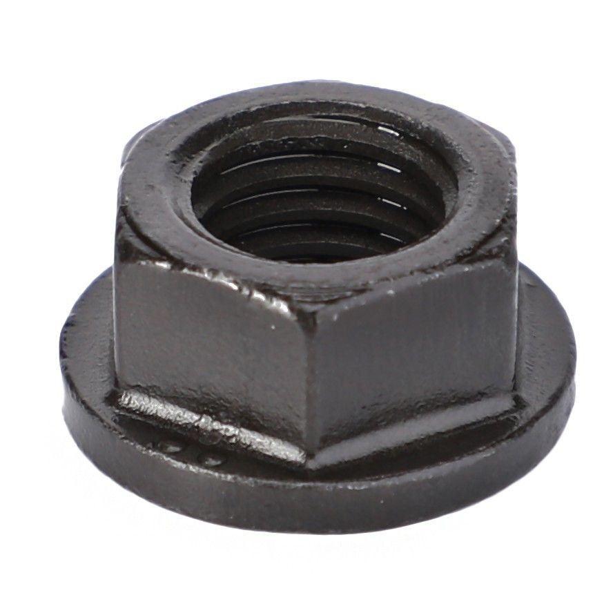 Hex Nut