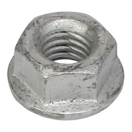 Hex Flange Nut