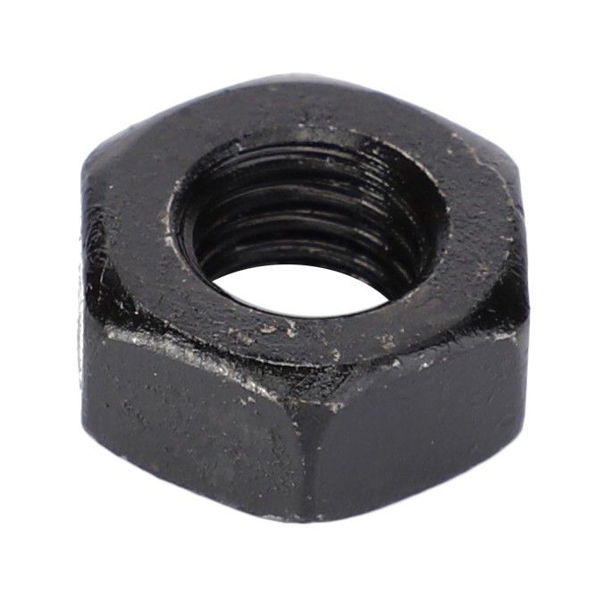 Hex Nut