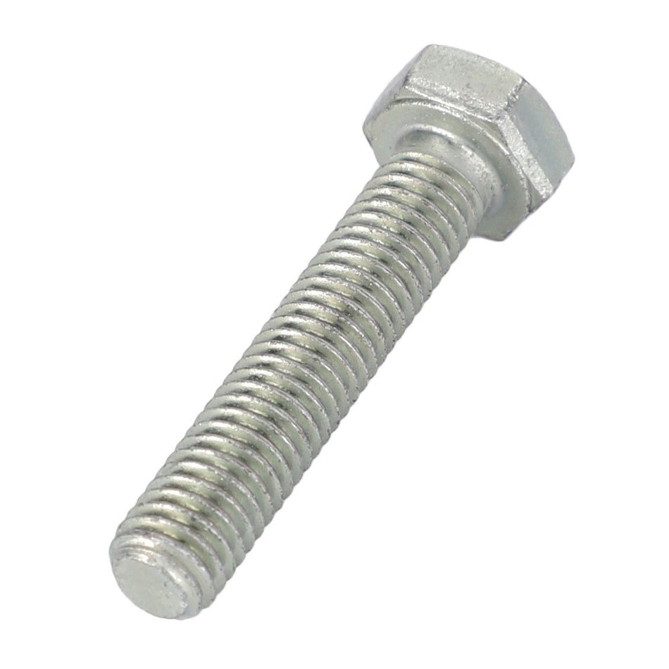 Hexagonal Head Bolt