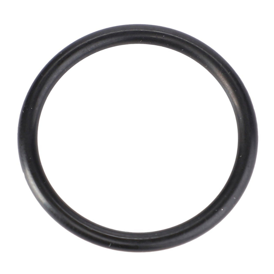 O-Ring, 24 x 2,5 mm